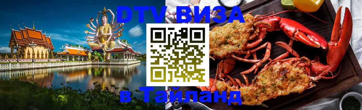 Оформление DTV визы под ключ: стоимость и тарифы, только загранпаспорт - 19.11.2025 